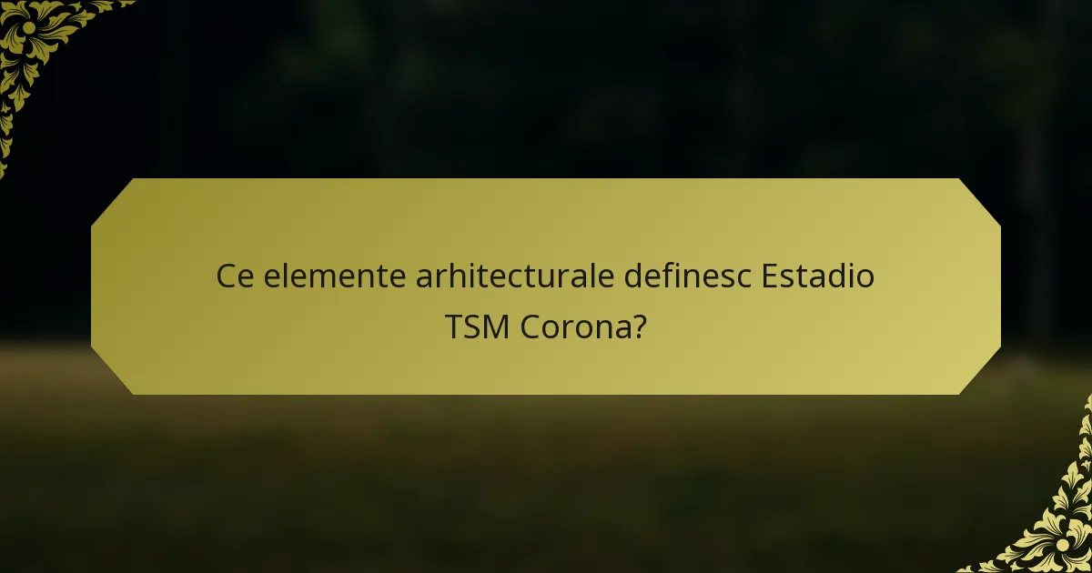 Ce elemente arhitecturale definesc Estadio TSM Corona?