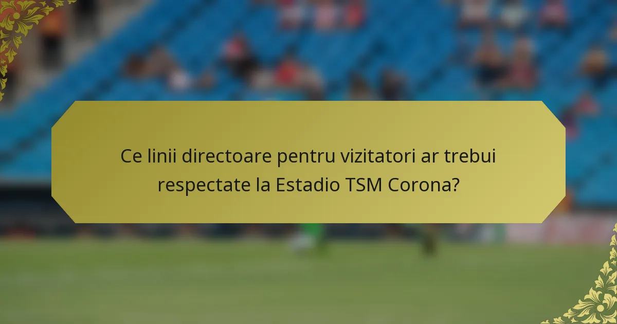 Ce linii directoare pentru vizitatori ar trebui respectate la Estadio TSM Corona?
